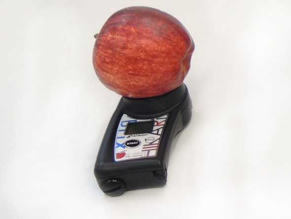 Testeur de détecteur portatif de nitrates pour les légumes fruits